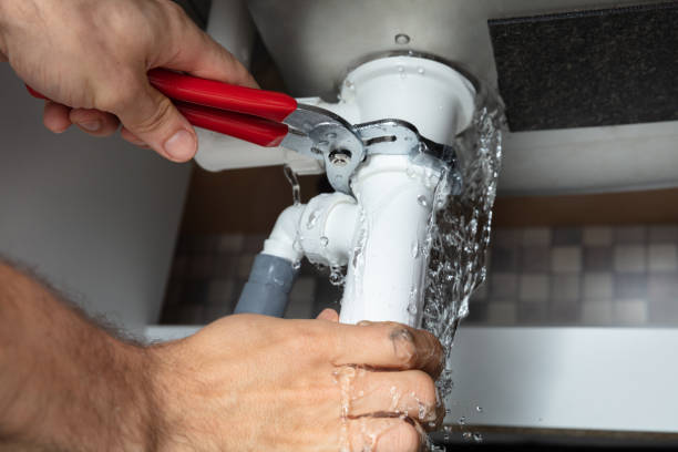 Best Mold removal after water damage  in Point Pleasant Beach, NJ