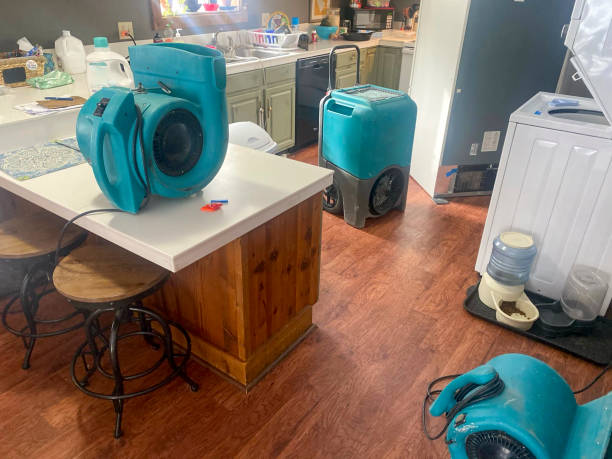 Best Water damage restoration cost  in Point Pleasant Beach, NJ