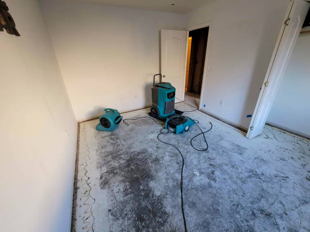 Best Commercial water damage restoration  in Point Pleasant Beach, NJ
