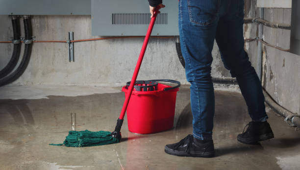 Water damage restoration mold remediation in NJ