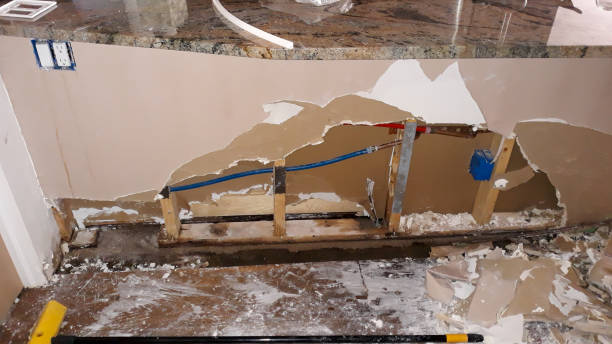 Best Flood damage cleanup  in Point Pleasant Beach, NJ