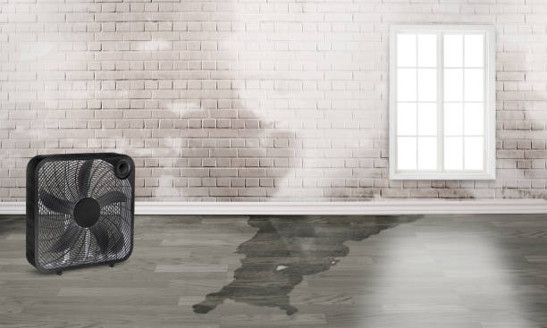 Best Water damage restoration mold remediation  in Point Pleasant Beach, NJ