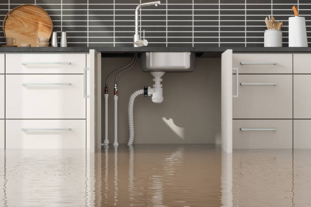 Best Water damage restoration near me  in Point Pleasant Beach, NJ