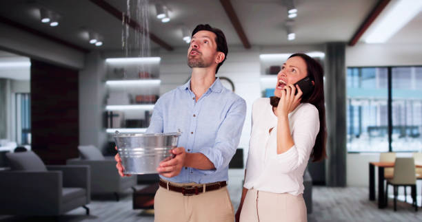 Best Water damage restoration near me  in Point Pleasant Beach, NJ